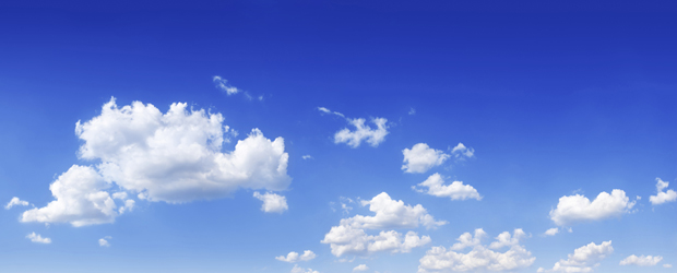 Blue Quality Services